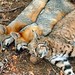 Scott Ebert Photo 37