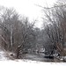 Thomas Parks Photo 42