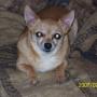 Sandy Shelton Photo 14