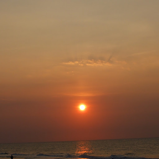 Darrel Cook Photo 21