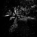 Teresa Harsh Photo 9