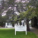 Don Woodworth Photo 6