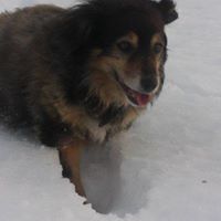 Penny Roy Photo 12
