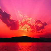 Suman Majumdar Photo 8