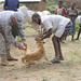 Christine Adamson Photo 16