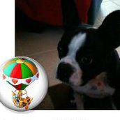 Sheila Tuttle Photo 5