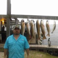 Joe Garza Photo 6