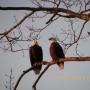 Julie Sadler Photo 12