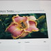Don Herr Photo 7