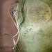 Alison Moon Photo 17