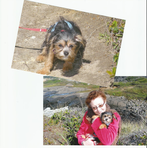 Judith Richards Photo 11