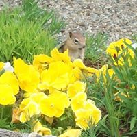 Janet Atkinson Photo 36