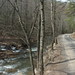 Virginia Waite Photo 11