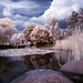 Edmund Yu Photo 5
