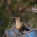 Barbara Thrasher Photo 18