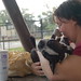 Lisa Sanford Photo 23