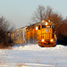 Troy Hardy Photo 15