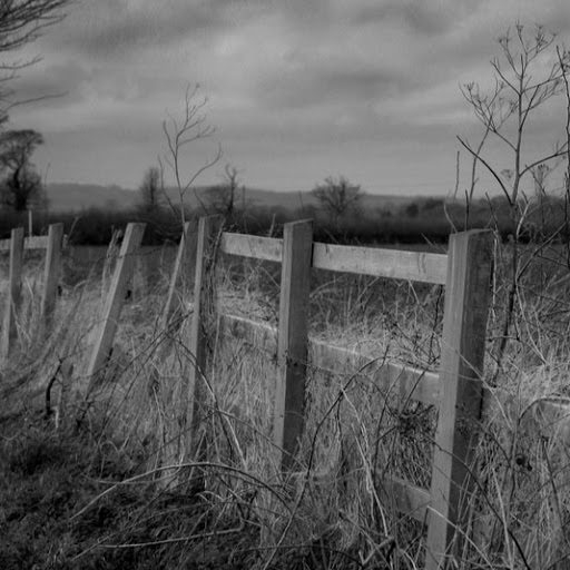 John Ingham Photo 23