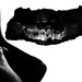 Brett Bacon Photo 4