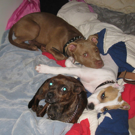 Roxie Lofton Photo 4