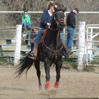 Terri Patrick Photo 26