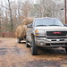 Allison Hays Photo 11