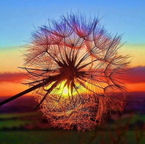 Timothy Buckley Photo 33