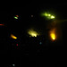 Ed Simmons Photo 26