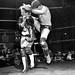 Tom Lambert Photo 41