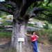 Carol Prats Photo 7