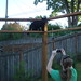 Lacy Scott Photo 20