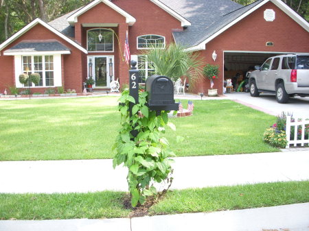 Susan Edwards Photo 28