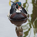 Brian Maskell Photo 7