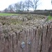 Kirk Fields Photo 11