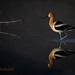 Don Daugherty Photo 21