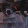 Mary Canter Photo 7