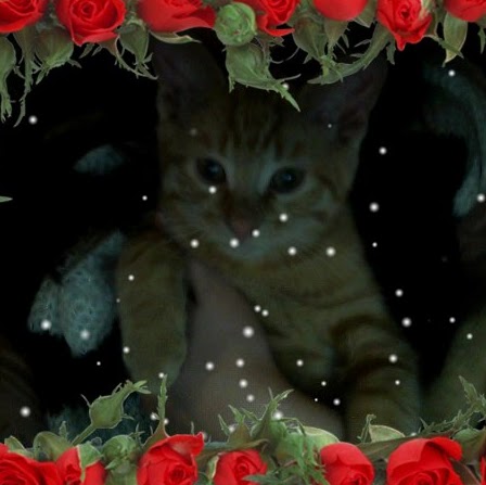 Christine Andersen Photo 21