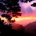 Shan Huang Photo 23