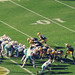 Brian Packer Photo 14