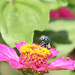 Linda Dodson Photo 22