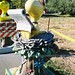 Susan Stover Photo 14