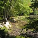 Bruce Weir Photo 31