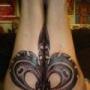 Sean Adams Photo 39
