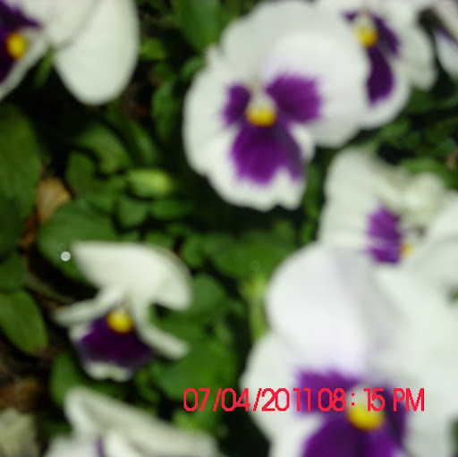 Beth Robbins Photo 33
