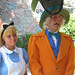 Alice Wells Photo 1