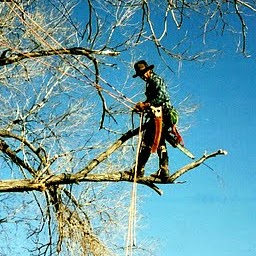 Larry Hansen Photo 29
