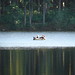 Heather Gifford Photo 17