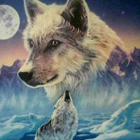 Terri Ott Photo 21