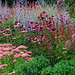 Joy Spires Photo 12