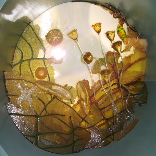 Annette Lange Photo 27